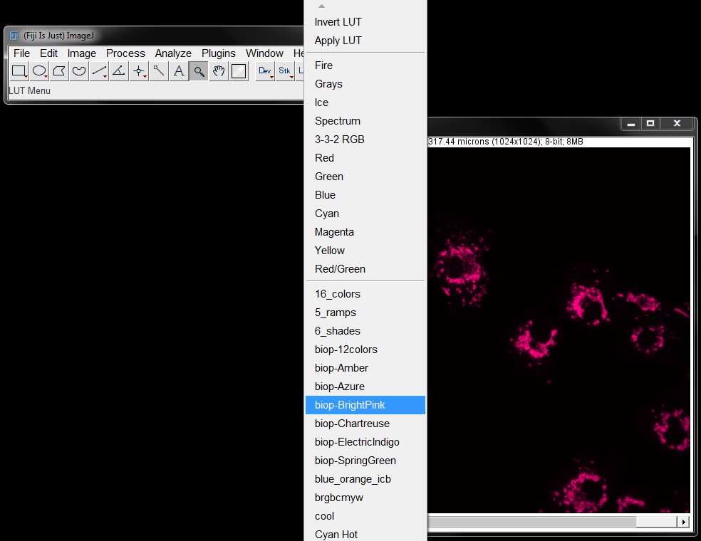 PART 5 CHANNELS AND COLOURS · Fiji Basics